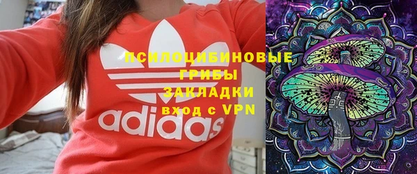 ГАЛЛЮЦИНОГЕННЫЕ ГРИБЫ Алексин