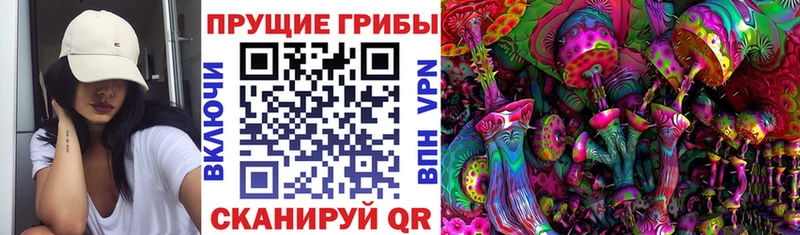 Псилоцибиновые грибы Magic Shrooms  Зеленоградск 